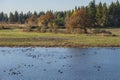 Water birds resting on a lake Tualatin wildilife refuge