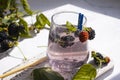Water, blackberry tonic breakfast tasty antioxidant homemade a light background detox
