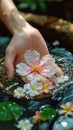 Water bloom Female hand delicately holds a flower in water