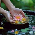 Water bloom Female hand delicately holds a flower in water