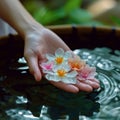 Water bloom Female hand delicately holds a flower in water