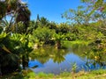 Water body in the botanical tropical city park of Puerto de la Cruz, Spain against a blue sky