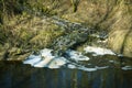 Water body pollution, aquatic contamination. Destruction of nature. Dirty drains are dumped in water of small river Royalty Free Stock Photo