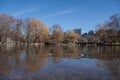 Water of Boston Common Duck Ponds. Royalty Free Stock Photo