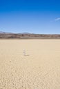 Water bottle on Dry Lake, Nevada Royalty Free Stock Photo