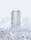 A water bottle floats up through the ice cubes Royalty Free Stock Photo