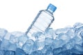 Water Bottle on Ice Cube Royalty Free Stock Photo