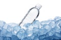 Water Bottle on Ice Cube Royalty Free Stock Photo