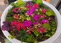 A water bowl with a mixed of cut summer flowers and colorful leaves Royalty Free Stock Photo