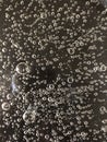 Water bubbles on black background. Royalty Free Stock Photo