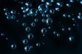 Water bubbles on black background Royalty Free Stock Photo