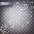 Water bubbles on a transparent checkered background. Underwater effervescent sparkling oxygen bubbles in water