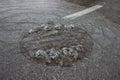 Water is bubbling up through manhole cover and sewer 3 Royalty Free Stock Photo