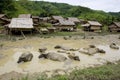 Water buffalo in front of Hmong village, Laos Royalty Free Stock Photo