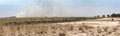 Water buffalo herd in front of a steppe fire on the dry Chopbe River in Botswana Royalty Free Stock Photo