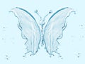 Water butterfly Royalty Free Stock Photo