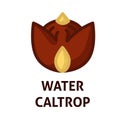 Water Caltrop icon