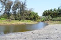 A Water Canal among Palm Trees and Casuarina Trees