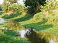 Water canal surrounding with green tropical environment Royalty Free Stock Photo