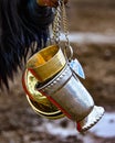 The water carrier Royalty Free Stock Photo