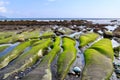 Water carved rocks with algea on the coastline of Indonesia