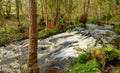 Water cascade, Autumn trees by the stream