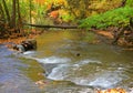 Water cascade in deep forest Royalty Free Stock Photo