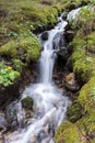 Water cascade in forest Royalty Free Stock Photo