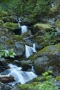 Water Cascades Creek