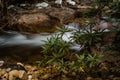 Water cascades - Jelawang, Kelantan. Royalty Free Stock Photo