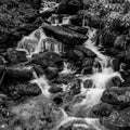 Water Cascades Over Mossy Rocks Black and White Royalty Free Stock Photo