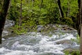 Water cascades over rocks and boulders in the Smokies. Royalty Free Stock Photo