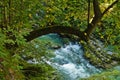 Water cascades at Vintgar canyon in slovenian Alps