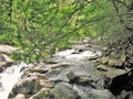 Water Cascading over Rocks in Cades Cove Royalty Free Stock Photo