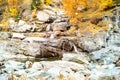 Water cascading over rocks, waterfall and autumn colors in the mountains, yellow and red trees Royalty Free Stock Photo