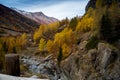 Water cascading over rocks, waterfall and autumn colors in the mountains, yellow and red trees Royalty Free Stock Photo