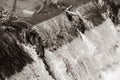 Water flowing over a river weir Royalty Free Stock Photo