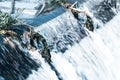 Water flowing over a river weir Royalty Free Stock Photo