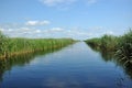 Water chanel in the Danube delta