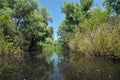 Water channel in the Danube delta Royalty Free Stock Photo