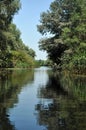 Water channel, river in Danube delta Royalty Free Stock Photo