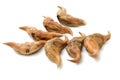 Water chestnut Trapa bispinosa Roxb