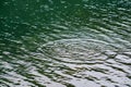 Water circles in the lake.