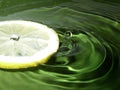 Water citron Royalty Free Stock Photo