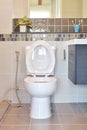 Water closet with hygienic hand spray in modern toilet