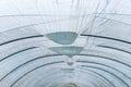 Water is collected on the roof of the greenhouse