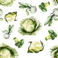 Water color hand painted vegetable. green vegetable on white background Royalty Free Stock Photo