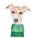 Water color illustration of pretty whippet dog wearing dark green jumper. Royalty Free Stock Photo