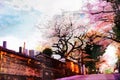 water color painting Japanese cherry Blossom & x28;Sakura tree& x29; spring season or hanabi season in japan, outdoor pastel color Royalty Free Stock Photo