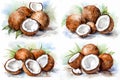 Water color painting Set of coconut on super white background. Created using Generative AI